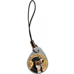 Appenzeller Sennenhund