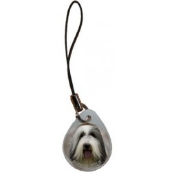 Bearded Collie