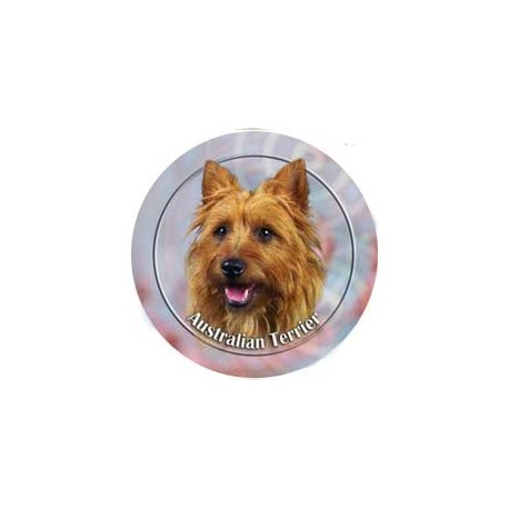 Australian Terrier Australian Terrier