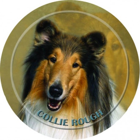 Collie Rough Collie Rough