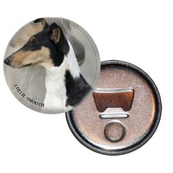 Collie Smooth