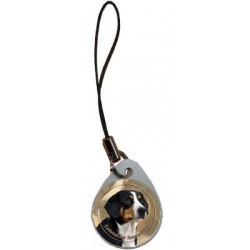 Entlebucher Sennenhund