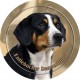Entlebucher Sennenhund