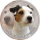 Parson Russell Terrier