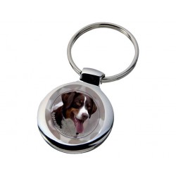 Appenzeller Sennenhund