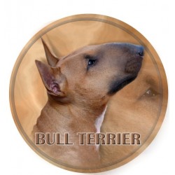 Bull Terrier