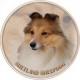 Shetland Sheepdog