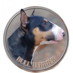 Bull Terrier