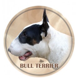 Bull Terrier