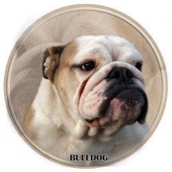 Bulldog