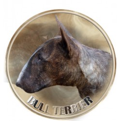 Bull Terrier