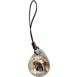 Bulldog