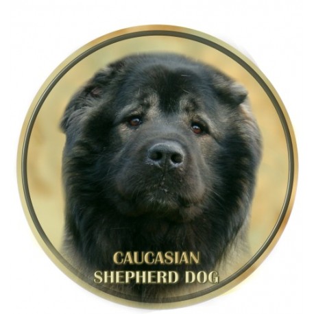 Caucasian Shepherd 