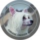 Chinese Crested Dog
