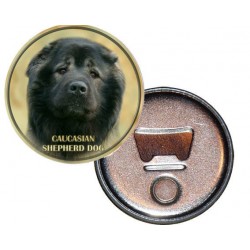 Caucasian Shepherd 
