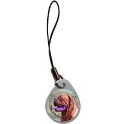 Dogue de Bordeaux