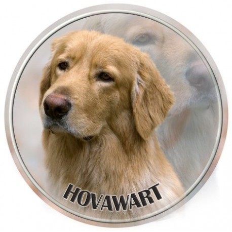 Hovawart Hovawart