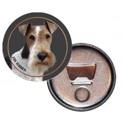 Fox Terrier
