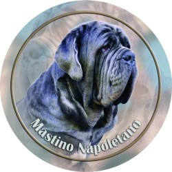 Mastino Napoletano