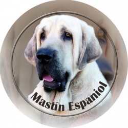 Mastín Espaňol