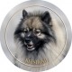 Keeshond (Deutscher Spitz)