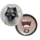 Keeshond (Deutscher Spitz)