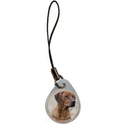 Rhodesian ridgeback