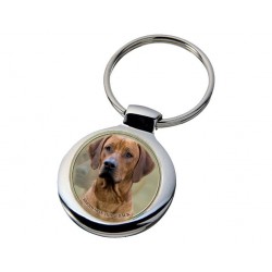 Rhodesian ridgeback