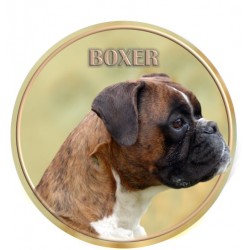 Deutscher Boxer