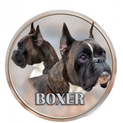 Deutscher Boxer
