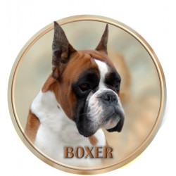 Deutscher Boxer