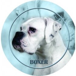 Deutscher Boxer