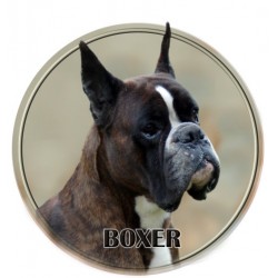 Deutscher Boxer