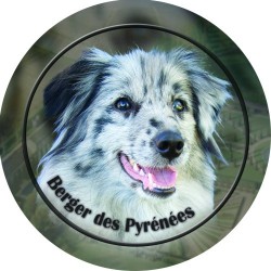 Berger des Pyrénées á poil long