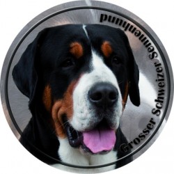 Großer Schweizer Sennenhund