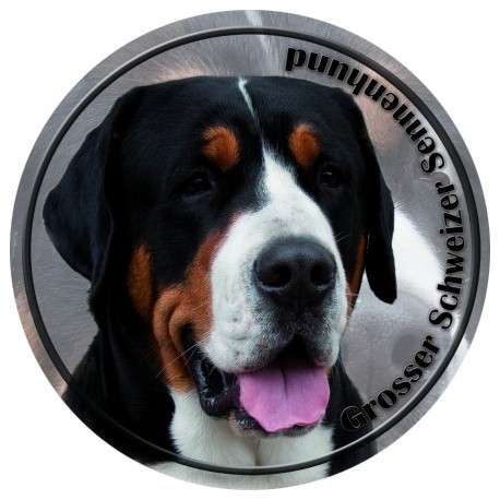 Großer Schweizer Sennenhund Großer Schweizer Sennenhund