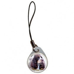 English Springer Spaniel