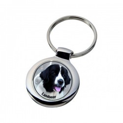 Landseer