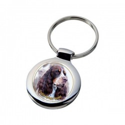 English Springer Spaniel