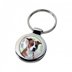 American Staffordshire Terrier
