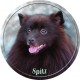 Spitz
