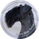 Kerry Blue Terrier