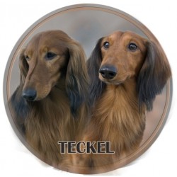 Teckel