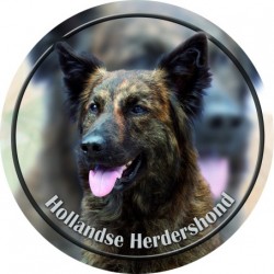 Hollandse Herdershond