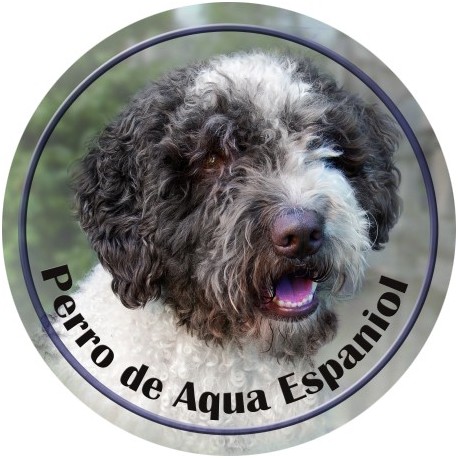 Perro de Agua Español