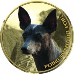 Perro sin Pelo del Peru