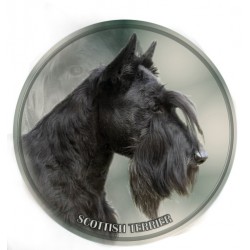 Scottish Terrier