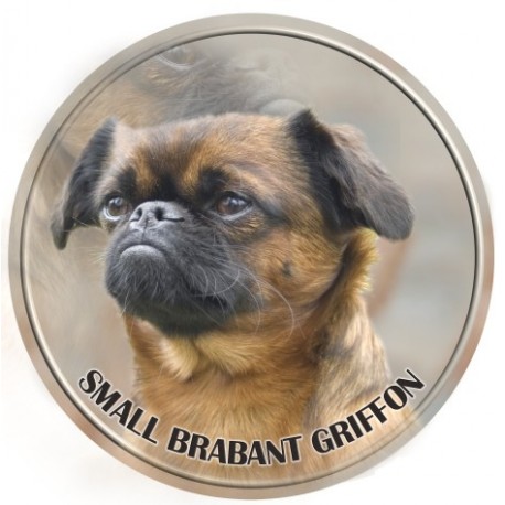 Brabant Griffon - Small