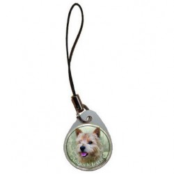 Norwich Terrier