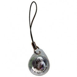 Perro de Agua Español